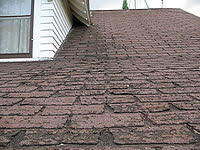 Bald Roof Shingles - whonnock roofing