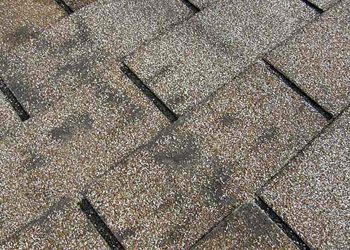 Roof Damage Whonnock Roofing and Gutters