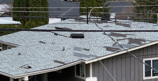 Signs of Wind Damage, Kamloops