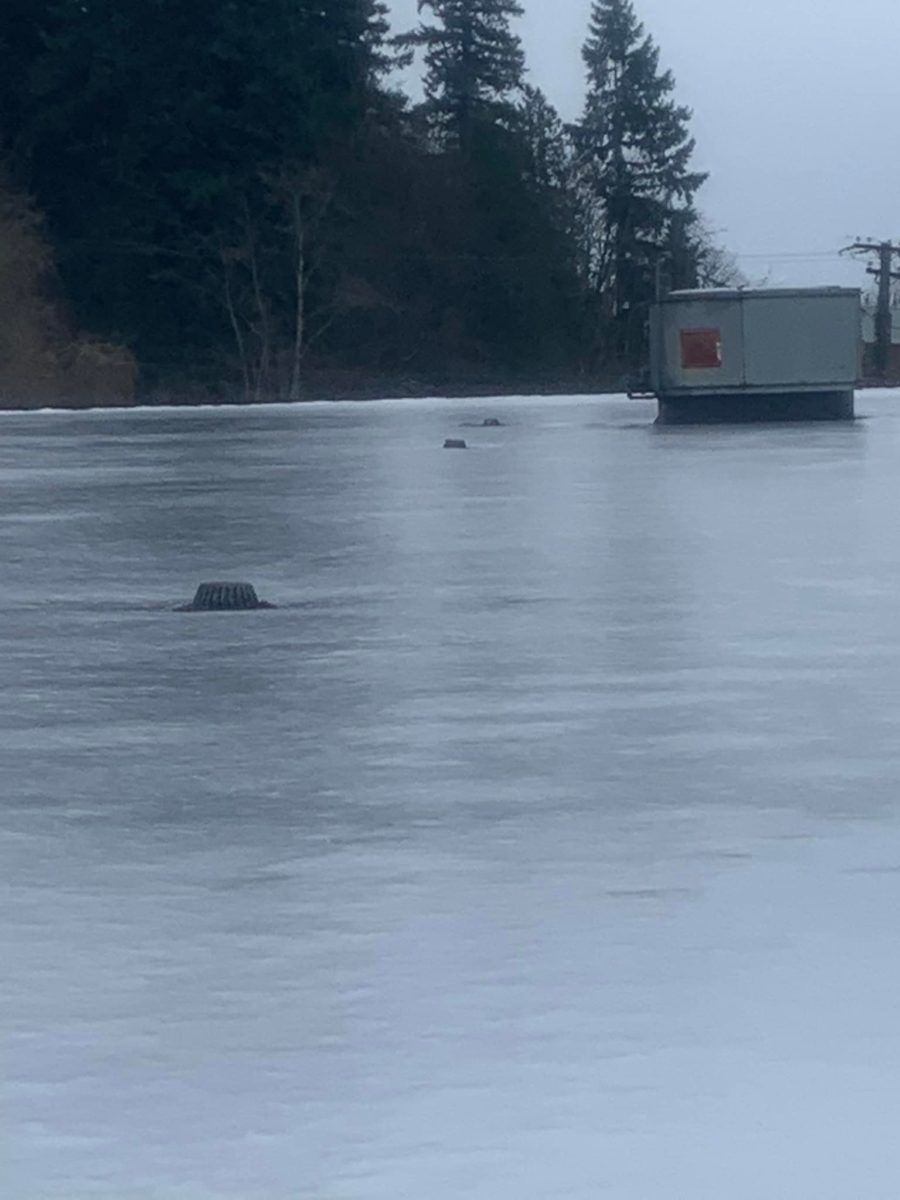 Flat roof drain iced over